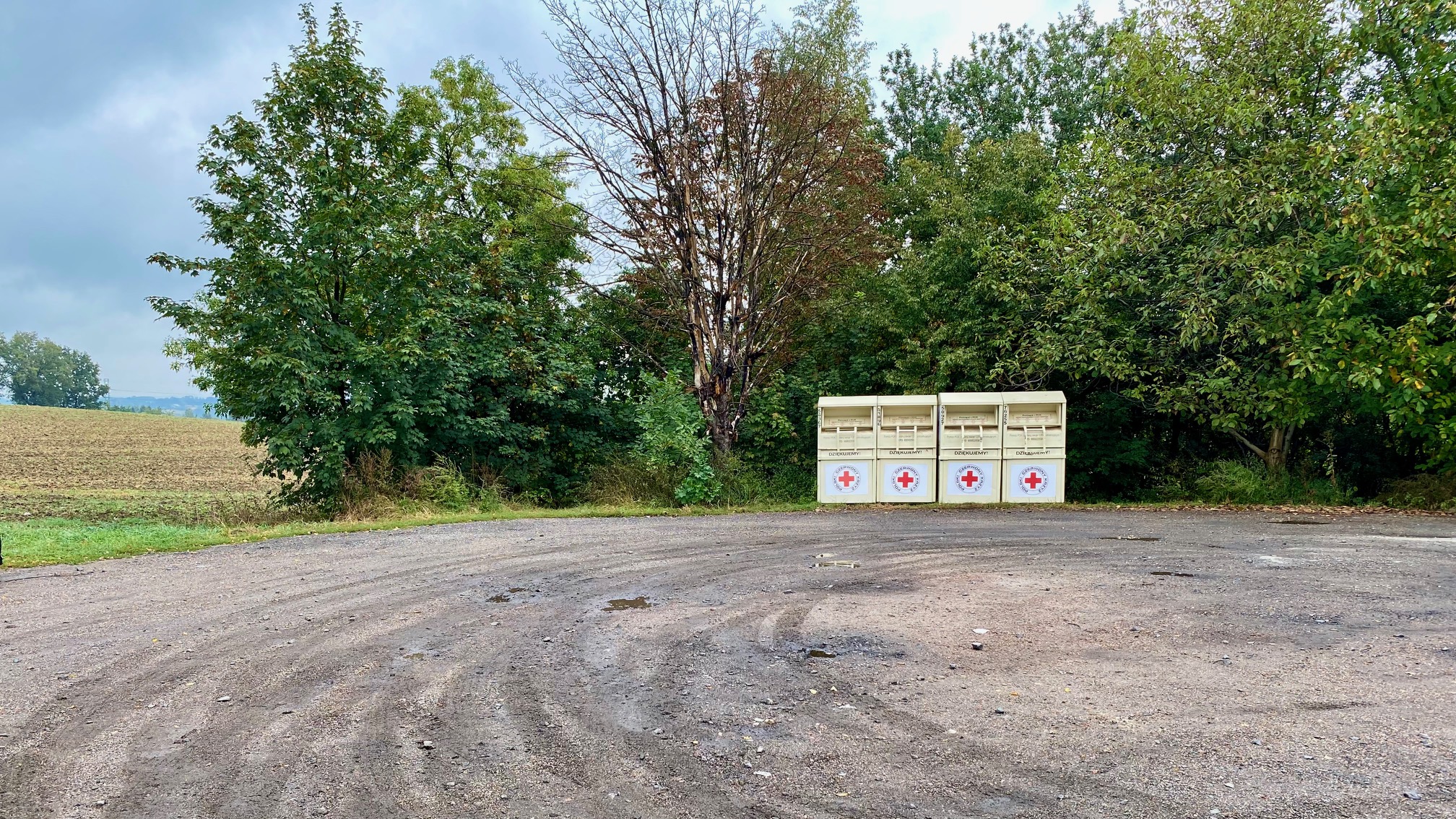 Pętla autobusowa przy ul. Kolberga