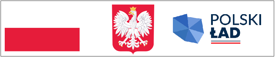 Polski Ład logo